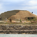 3685-2.jpg