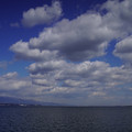 3690-1.jpg