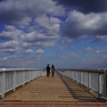 3690-2.jpg