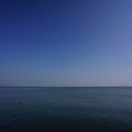 3691-1.jpg