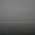 3694-1.jpg