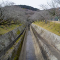 3705-1.jpg