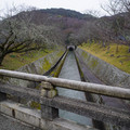 3707-3.jpg