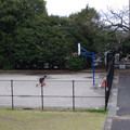 3720-2.jpg