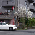 3720-3.jpg