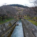 3721-3.jpg