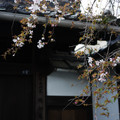 3722-2.jpg