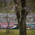3724-2.jpg