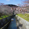 3726-1.jpg