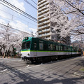 3730-2.jpg