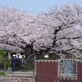 3731-1.jpg