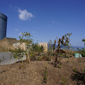 3732-1.jpg