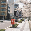 3733-1.jpg