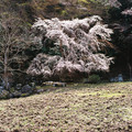 3733-2.jpg