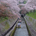 3734-1.jpg