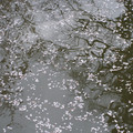 3734-2.jpg