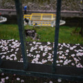 3736-2.jpg
