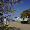 3737-2.jpg