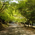 3739-1.jpg