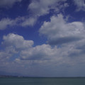 3739-2.jpg