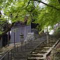 3741-1.jpg
