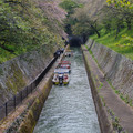 3741-2.jpg