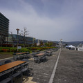 3742-1.jpg
