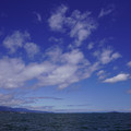 3747-1.jpg