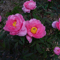 3748-2.jpg