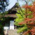 3749-1.jpg