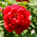 3749-2.jpg
