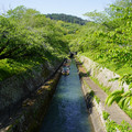 3751-1.jpg