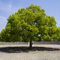 3751-3.jpg