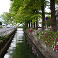 3752-1.jpg
