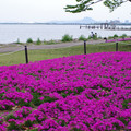 3752-2.jpg