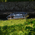 3754-1.jpg