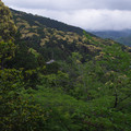 3763-1.jpg