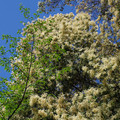 3767-1.jpg