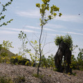3768-2.jpg