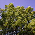 3768-3.jpg