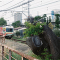 3769-1.jpg