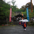 3771-1.jpg