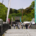 3772-2.jpg