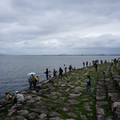 3779-2.jpg