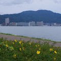 3780-3.jpg