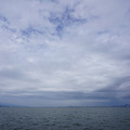 3781-1.jpg
