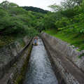 3781-3.jpg