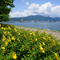 3782-2.jpg