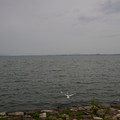 3783-1.jpg