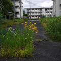 3785-3.jpg